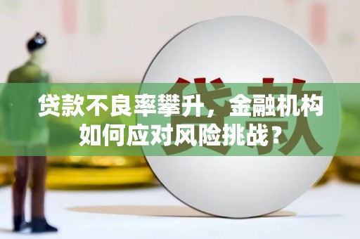 和硕贷款不良率攀升，金融机构如何应对风险挑战？