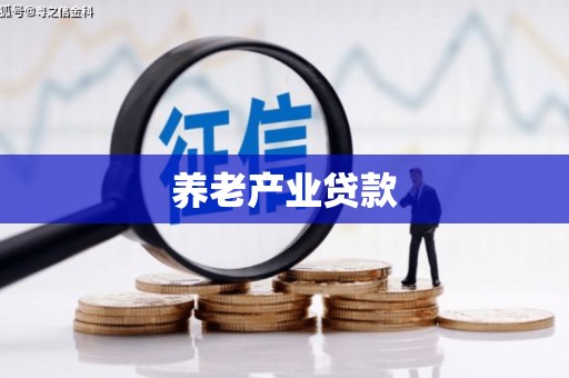 和硕养老产业贷款