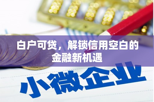 和硕白户可贷，解锁信用空白的金融新机遇