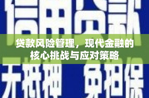 和硕贷款风险管理，现代金融的核心挑战与应对策略