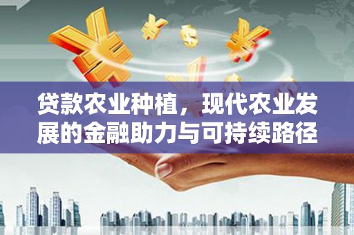 和硕贷款农业种植，现代农业发展的金融助力与可持续路径