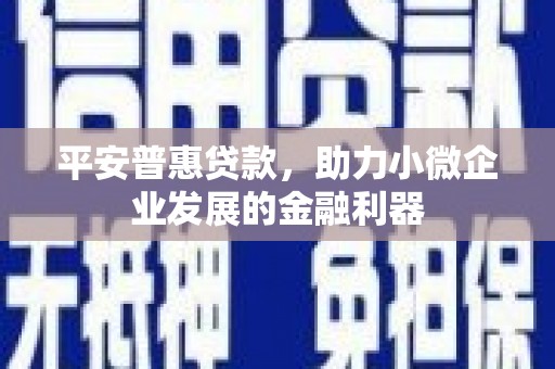 和硕平安普惠贷款，助力小微企业发展的金融利器