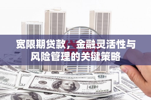 和硕宽限期贷款，金融灵活性与风险管理的关键策略