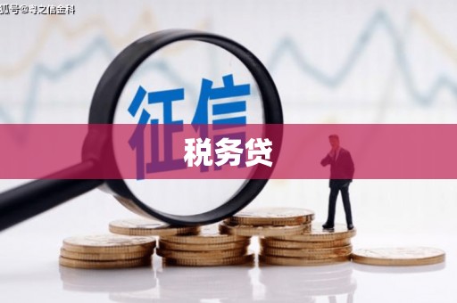 和硕税务贷