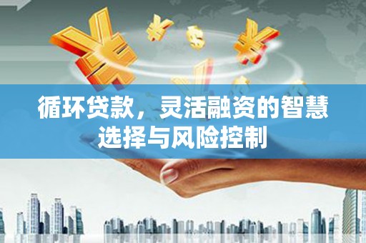 和硕循环贷款，灵活融资的智慧选择与风险控制