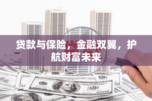 和硕贷款与保险，金融双翼，护航财富未来