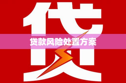 和硕贷款风险处置方案