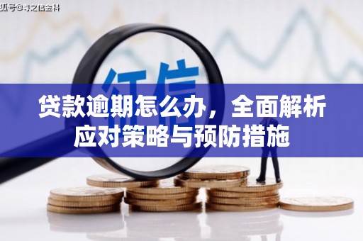 和硕贷款逾期怎么办，全面解析应对策略与预防措施