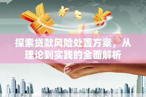 和硕探索贷款风险处置方案，从理论到实践的全面解析