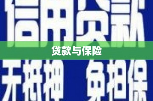 和硕贷款与保险