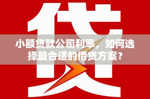 和硕小额贷款公司利率，如何选择最合适的借贷方案？