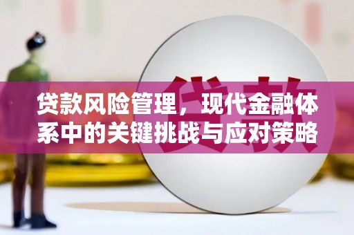 和硕贷款风险管理，现代金融体系中的关键挑战与应对策略