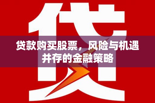 和硕贷款购买股票，风险与机遇并存的金融策略